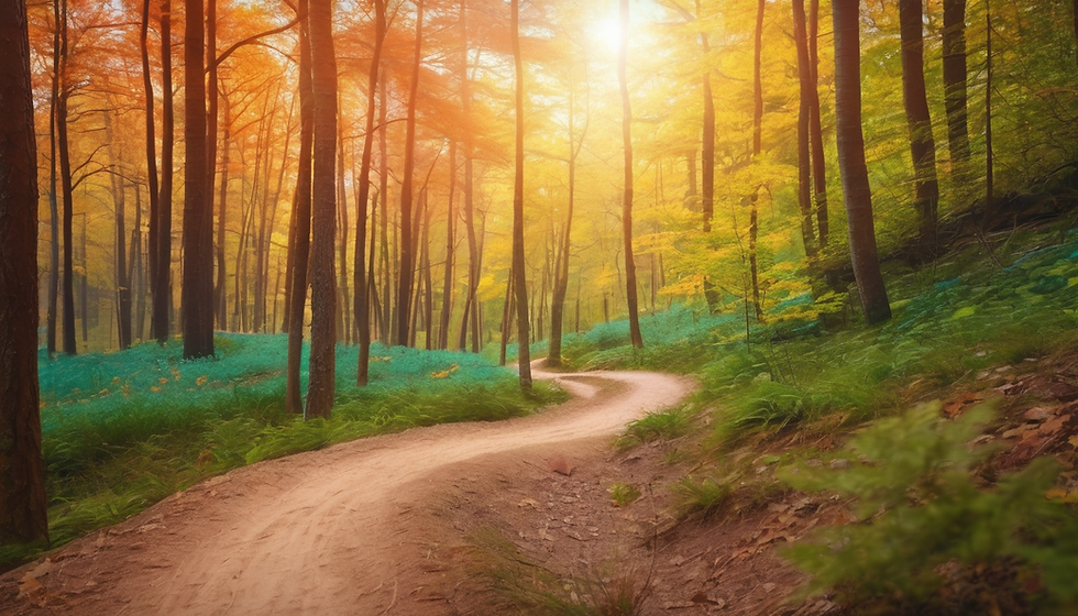 Reinvent Yourself: A Senior Adventure Workshop