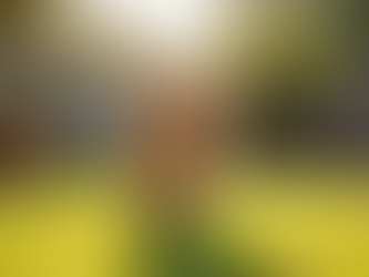 Finding Trustworthy Goldendoodle Breeders