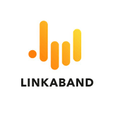 Linkaband.jpg