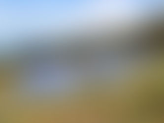 INDIA’S URGENT CLIMATE CALL AT COP30