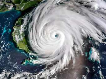 FOR US, ADAPTATION IS NOT OPTIONAL—IT IS A MATTER OF SURVIVAL