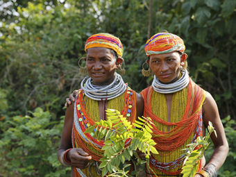 Indigenous Knowledge and Climate Governance