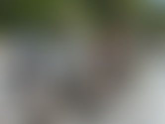 WHY COP30 MATTERS TO ME, MY COMMUNITY AND TANZANIA FUTURE