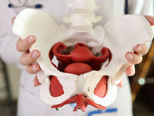 Pelvic Floor Changes After Pregnancy: What's Normal and What Needs Treatment