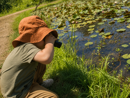 young preschooler in burnt orange sun hat explores a lily-covered pond with binoculars during a nature study at Jungle Flowers Preschool