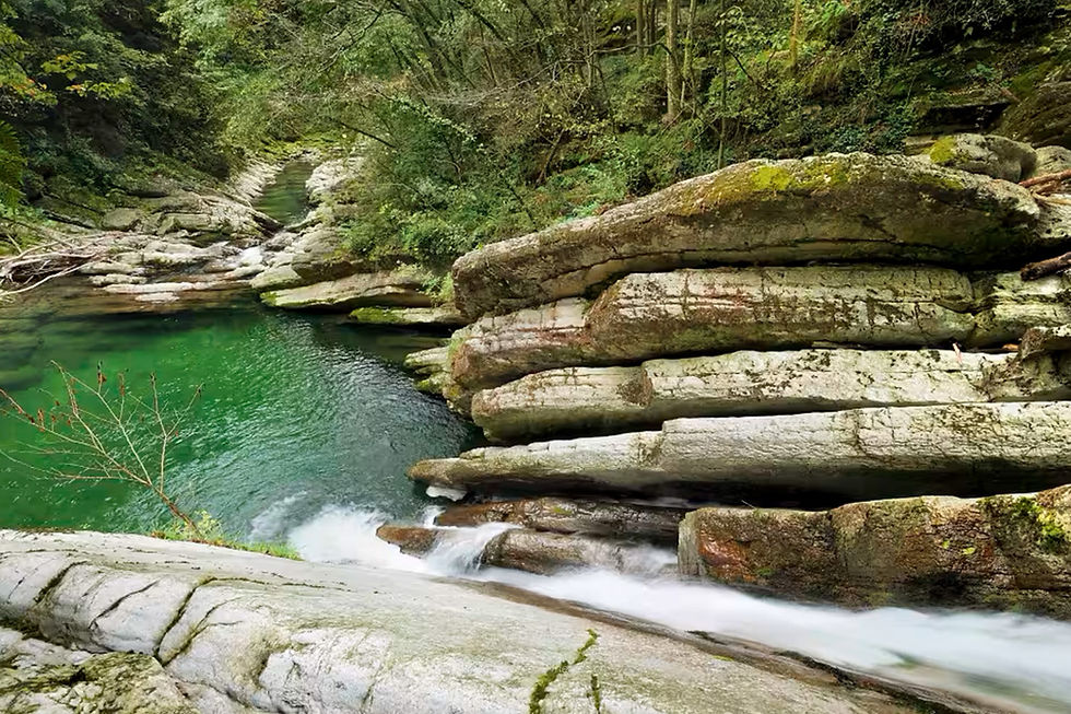 A clear stream flows through the Breggia Gorges Park, surrounded by rich green foliage.