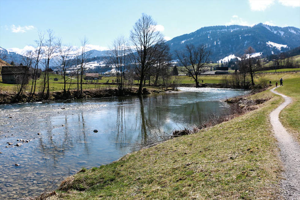 A serene view of the Thur River meandering through a lush green valley, perfect for a peaceful river walk in Switzerland.