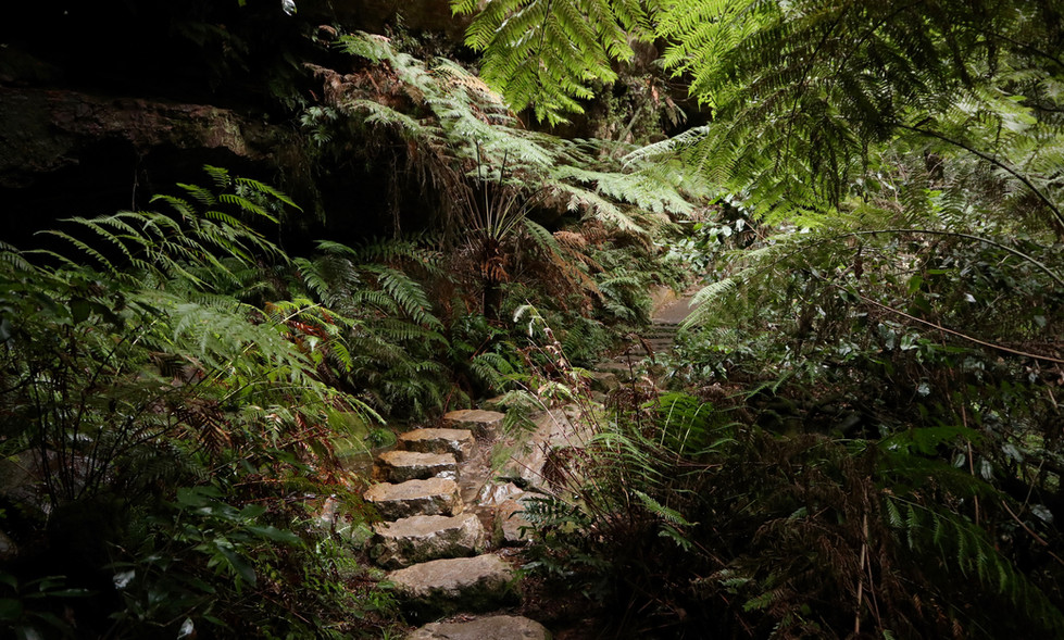 Blue Mountains