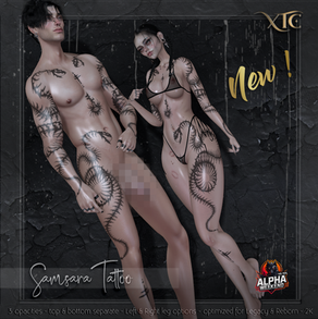 XTC