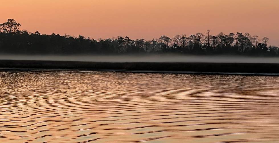 Heading out on the  Steinhatchee River on a misty morning.