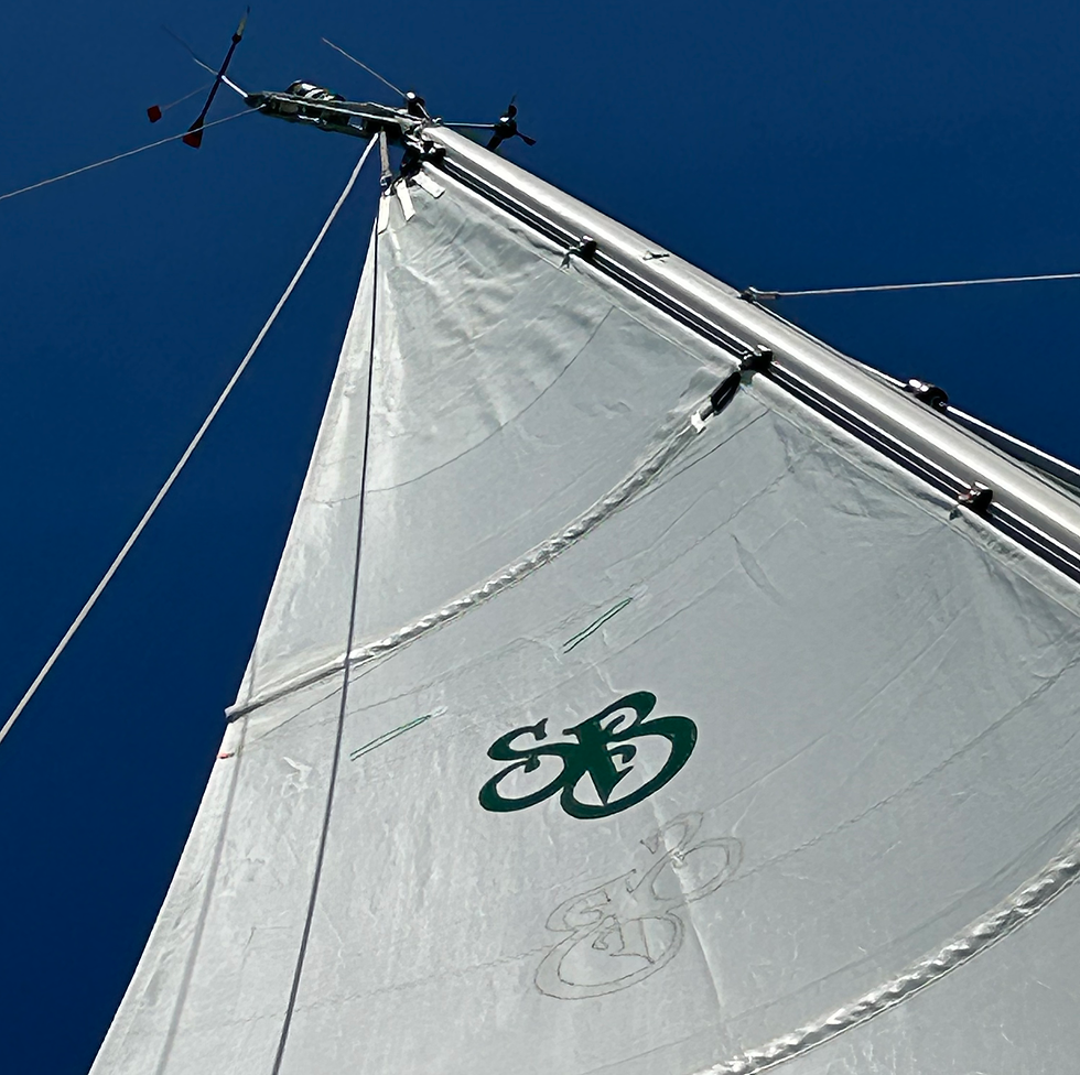 A new set of sails from Doyle in St. Pete