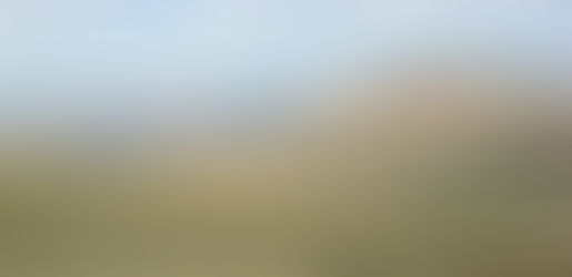 Keepers of the Wind – Navigating the Myth and Reality of Argali Hunting in Mongolia