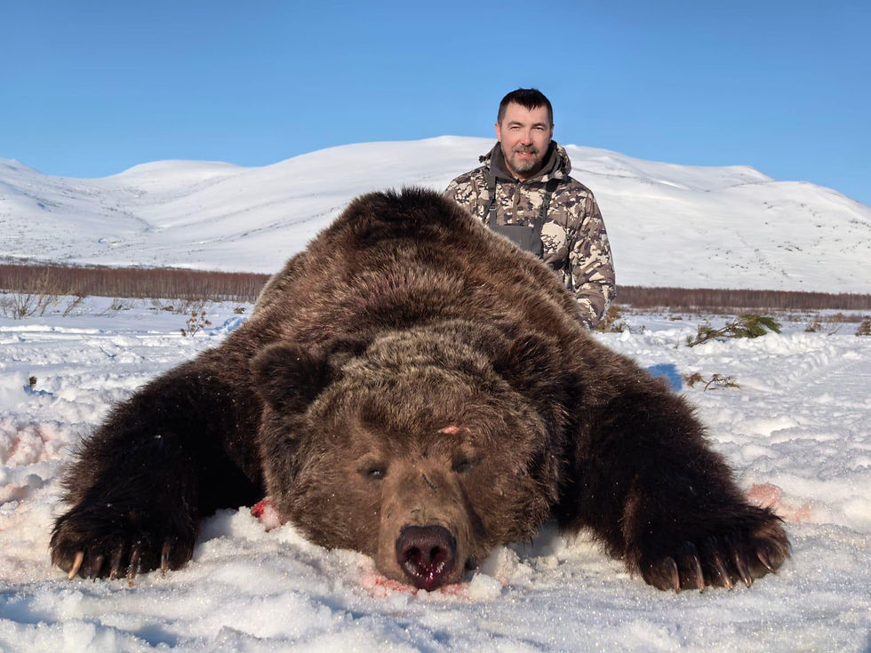 Magadan Brown Bears - May 2026