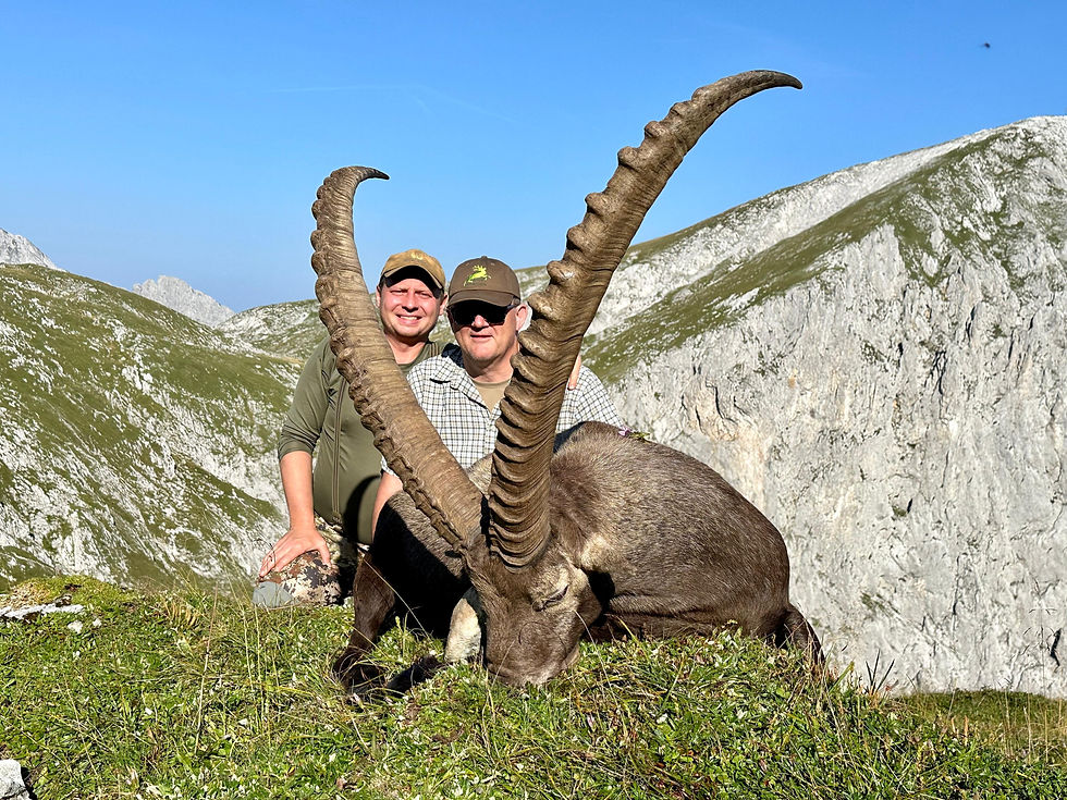 The Regal Alpine Ibex - Arguably Europe's Most Noble Mountain Game Trophy