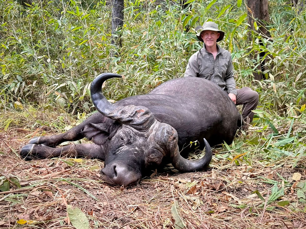 Every Buffalo is a TROPHY