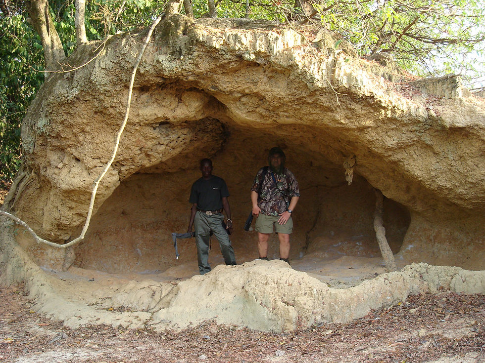 Amazing salt lick. And fewer flies.