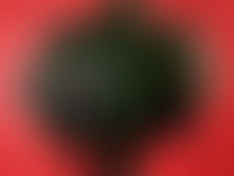 Copenhagen, Denmark (2017)