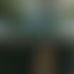 Liberia, Costa Rica (2016)