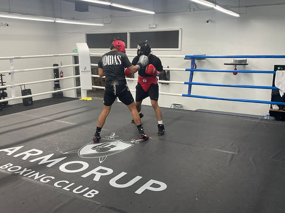 ArmorUp Boxing