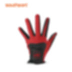 Southern Golf Mitten Fast Dry Professional Golf Gloves