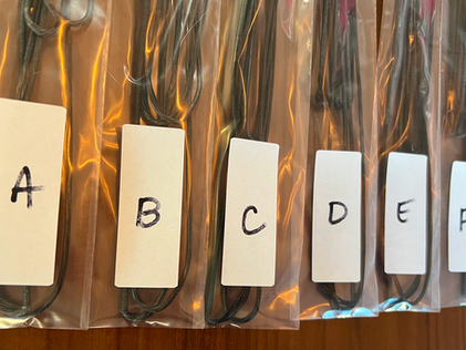 Strings labelled A-F