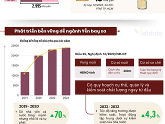 Yến Sào Việt: Kỳ vọng xuất khẩu tỷ đô