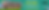 Grow where we're planted (1).png