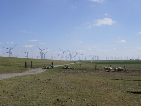 25 août- Etape 39: Le Schleswig-Holstein dans la continuité du sud Danemark