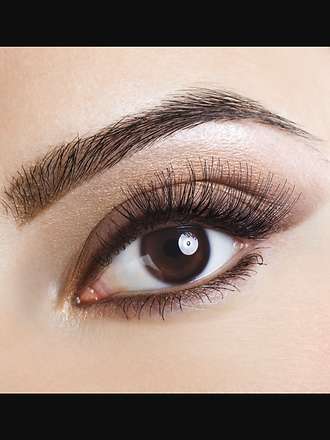 eyebrow.PNG