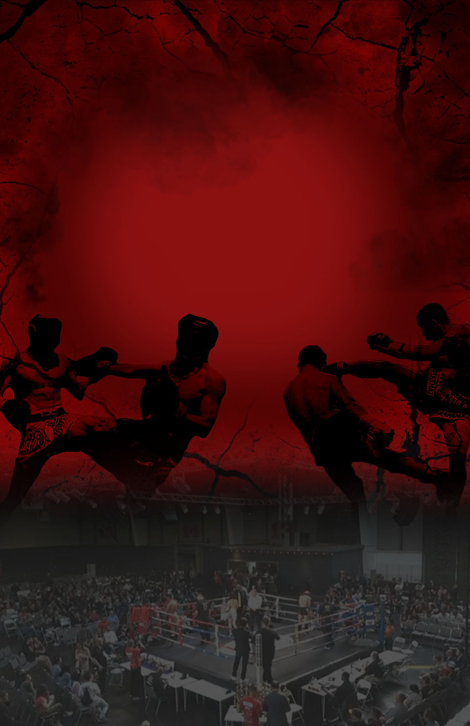 poster 11x17 background.png