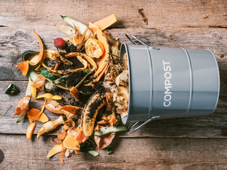 Ready, set, compost! 🌎