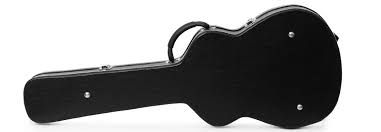 Guitar - In Case
