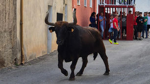 Calatorao da el pistoletazo de salida a su temporada taurina 2025