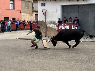 Intenso fin de semana taurino en Torres de Berrellén
