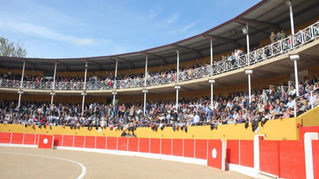 LOS MEJORES RECORTADORES SE DAN CITA ESTE FIN DE SEMANA EN LA FERIA TAURINA DE RICLA