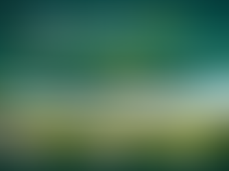 Wadhwa Invest in 1200 SQFT Plots by Wadhwa Group in Navi Mumbai