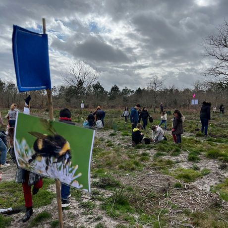 GRAINE DE FORET * Pendant les vacances de février 2026: