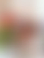 Colorful floral arrangement on a dinner table with hurricane vases and pink taper candles.