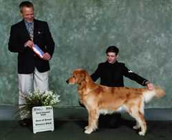 Kobie going Best of Breed