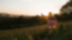 steps-background.jpg