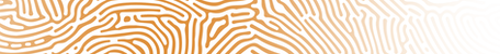 lines 1.png