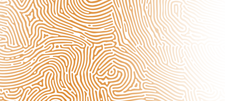 lines 1.png