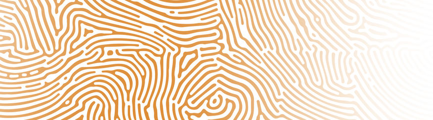 lines 1.png