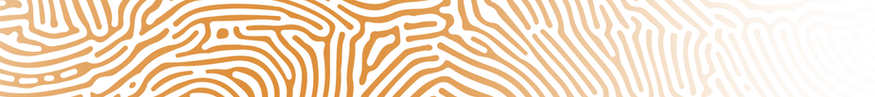 lines 1.png