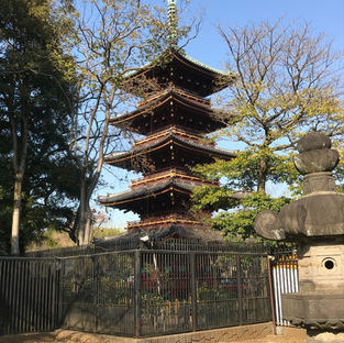 A Great Week In Japan With Wishbone Ash