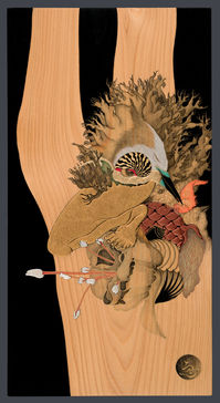 structural color gallery; art gallery; megumi nagai