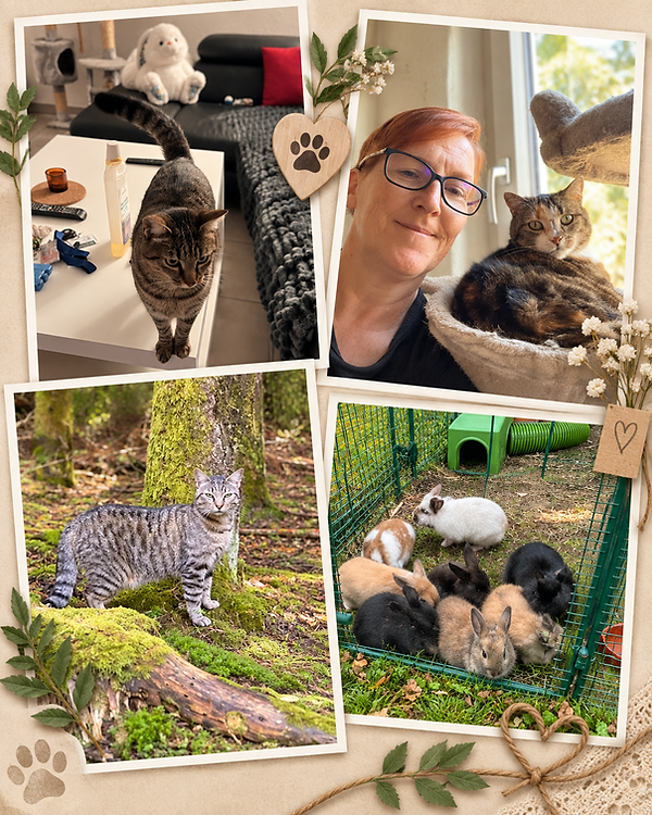 « Présentation de la fondatrice du Rêve de Xena, de son parcours et de son approche intuitive du bien-être animal et humain.