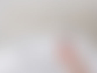 Key Factors to Consider when Choosing the Right Pest Control Provider