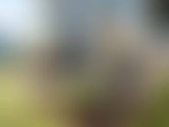 Pest Control for Spring 2026 & the Importance of Setting Up a Maintenance Plan in Naples & Marco Island