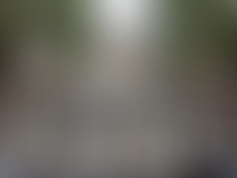 New Holland Park Project!